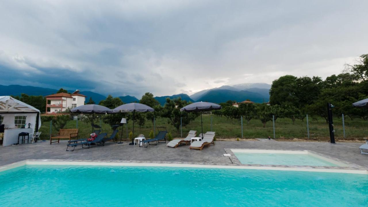 Ntinasvillage Leptokaria Zewnętrze zdjęcie